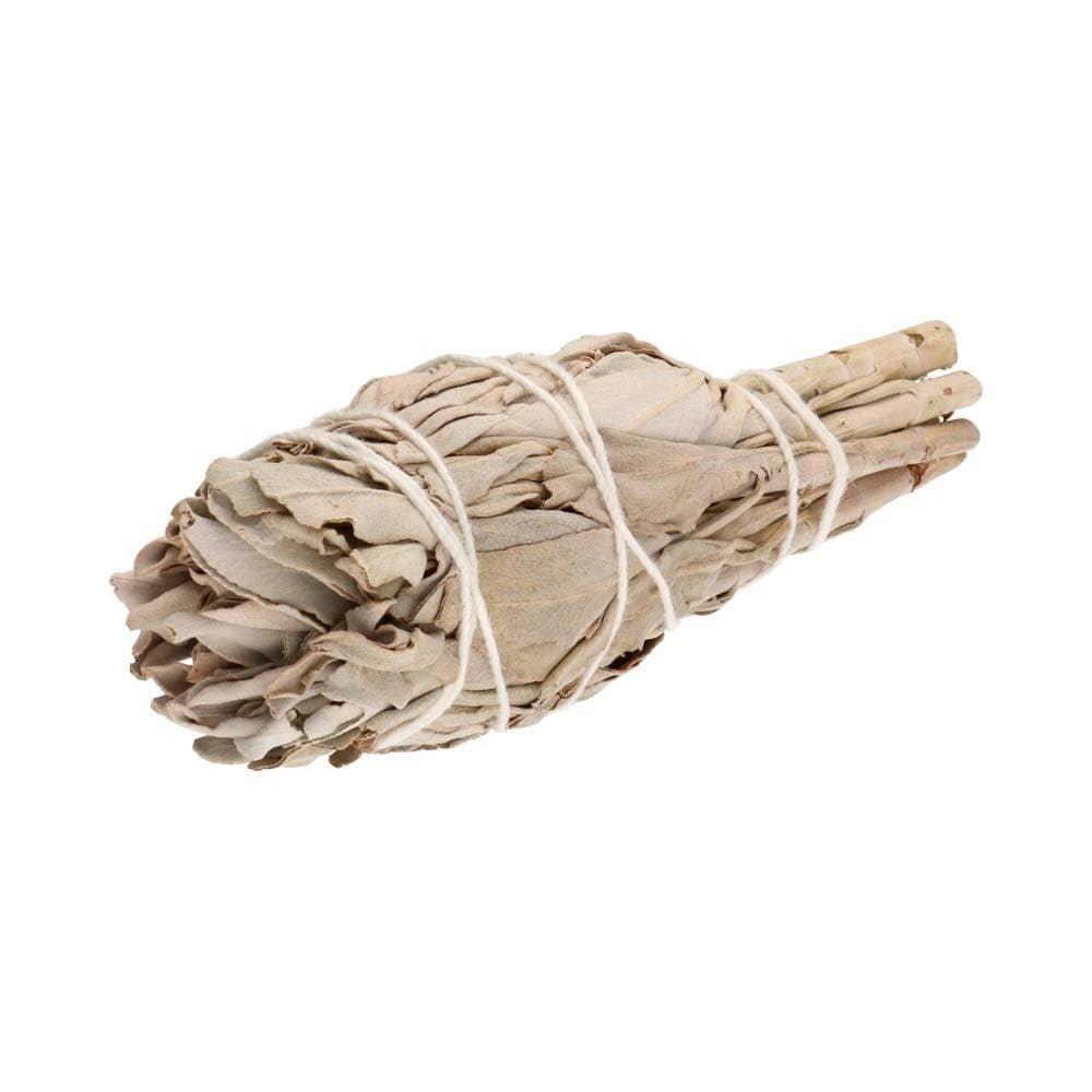 Torche de Sauge Blanche de Californie (Salvia Apiana) - Oracles & Lunes
