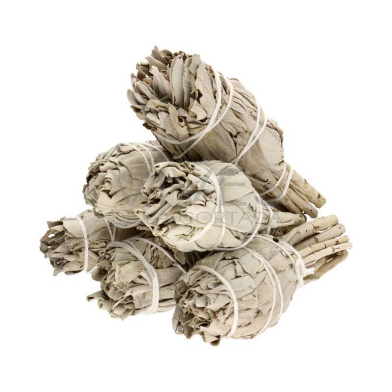 Torche de Sauge Blanche de Californie (Salvia Apiana) - Oracles & Lunes