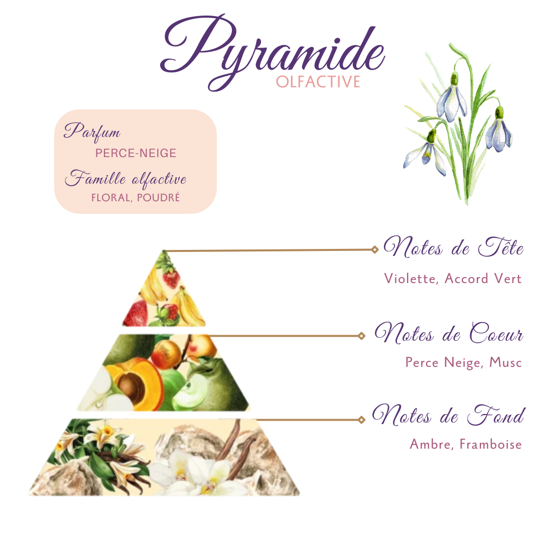 Bougie Bijoux des Lunes Renaissance - Pyramide Olfactive Perce Neige