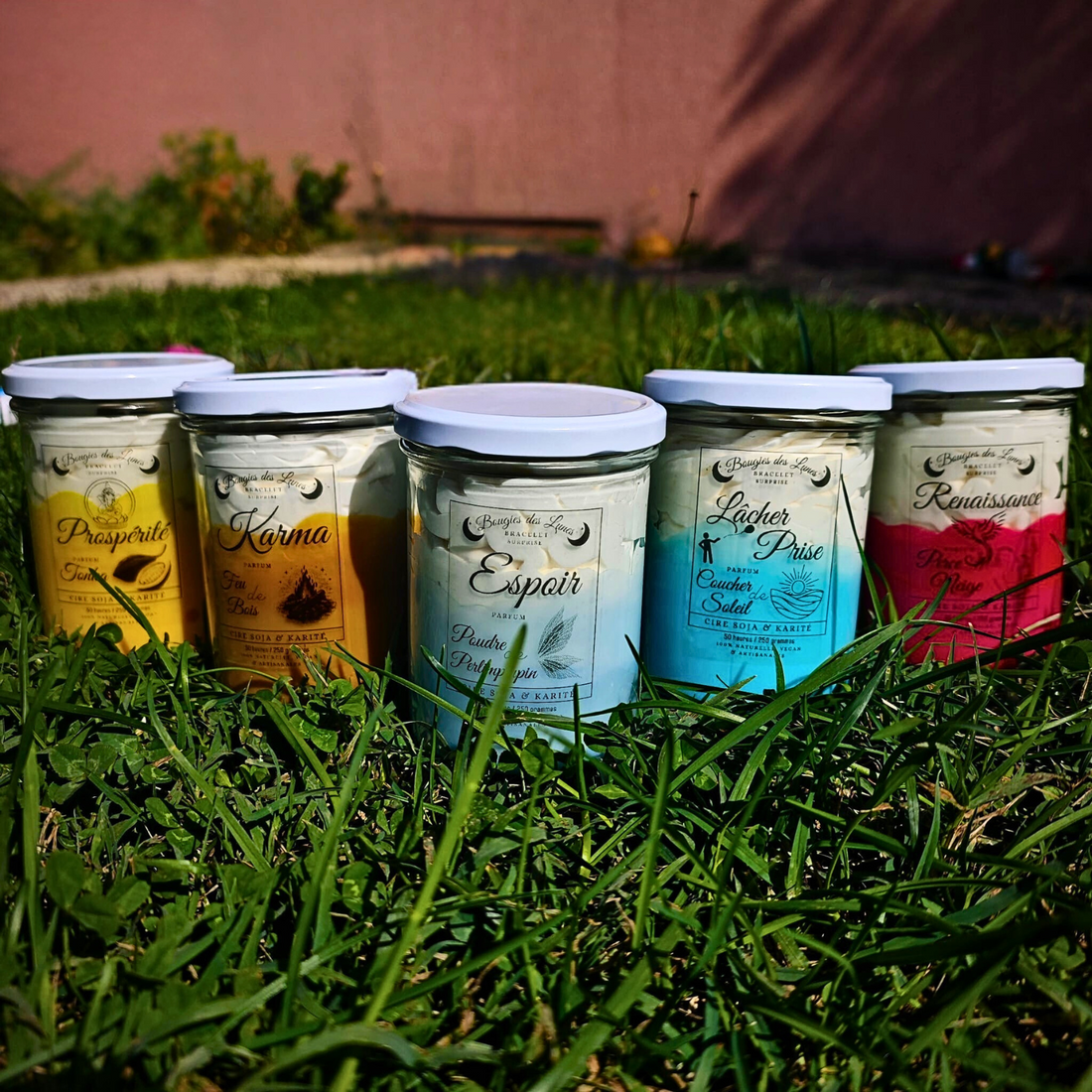 Coffret Métamorph&