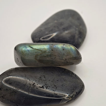 Labradorite Bleue - Extra - Roulée - Oracles &amp; Lunes