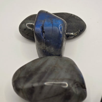 Labradorite Bleue - Extra - Roulée - Oracles &amp; Lunes