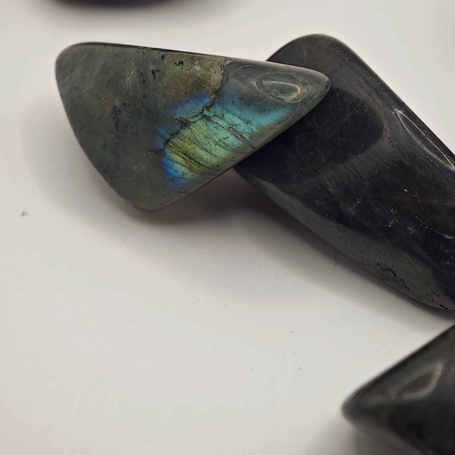 Labradorite Bleue - Extra - Roulée - Oracles &amp; Lunes