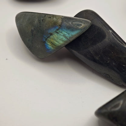 Labradorite Bleue - Extra - Roulée - Oracles &amp; Lunes