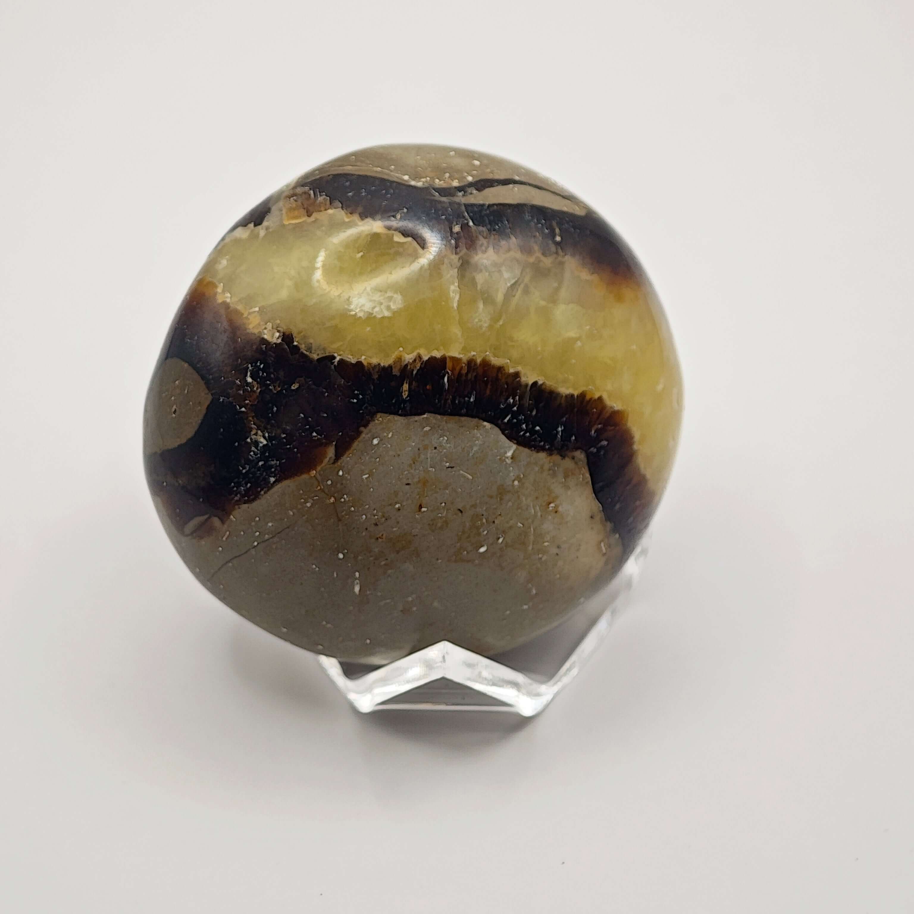 Septaria - Savon - Oracles &amp; Lunes