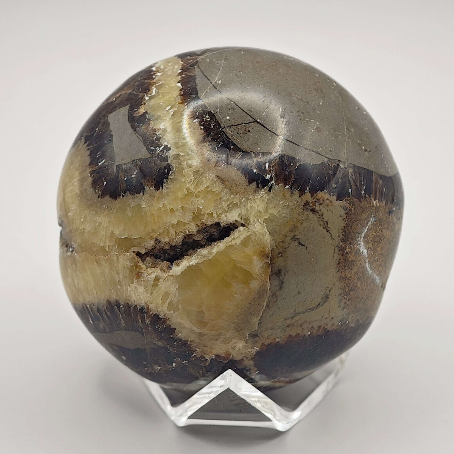 Septaria - Savon - Oracles &amp; Lunes