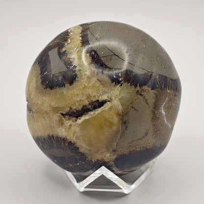 Septaria - Savon - Oracles &amp; Lunes
