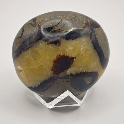 Septaria - Savon - Oracles &amp; Lunes