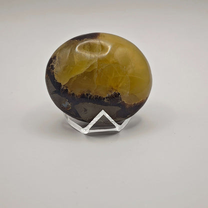 Septaria - Savon - Oracles &amp; Lunes