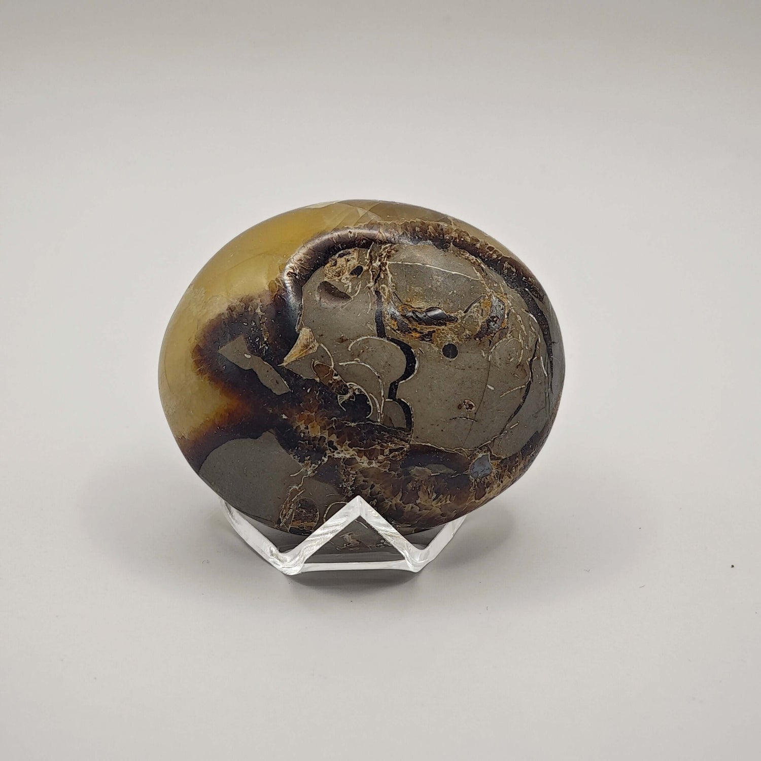 Septaria - Savon - Oracles &amp; Lunes