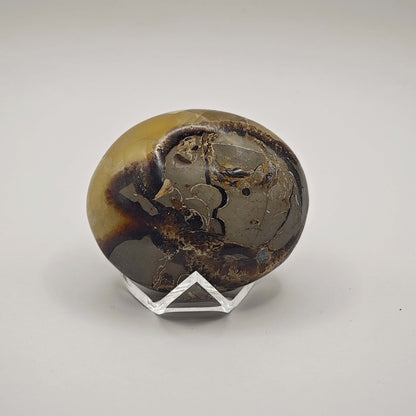 Septaria - Savon - Oracles &amp; Lunes