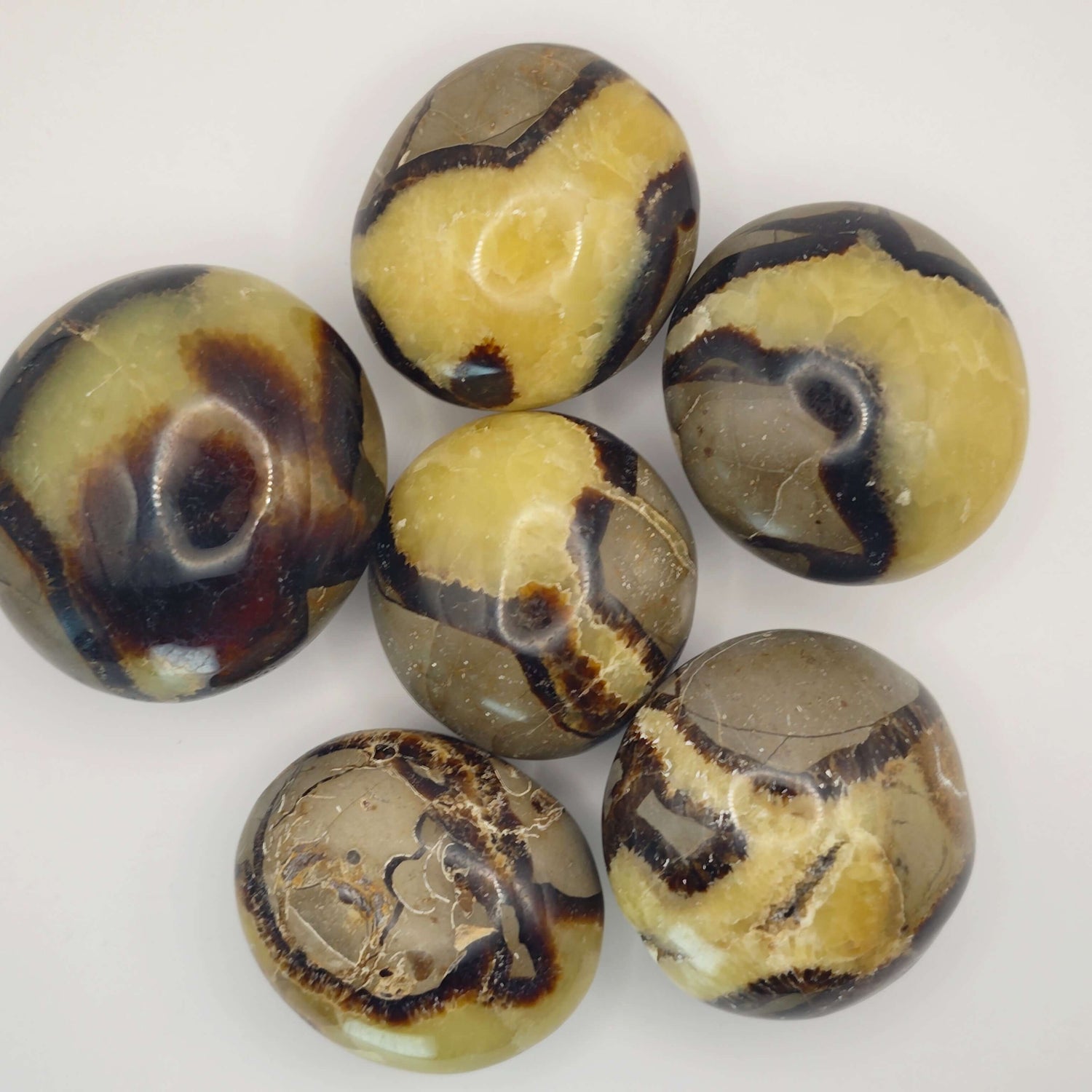 Septaria - Savon - Oracles &amp; Lunes