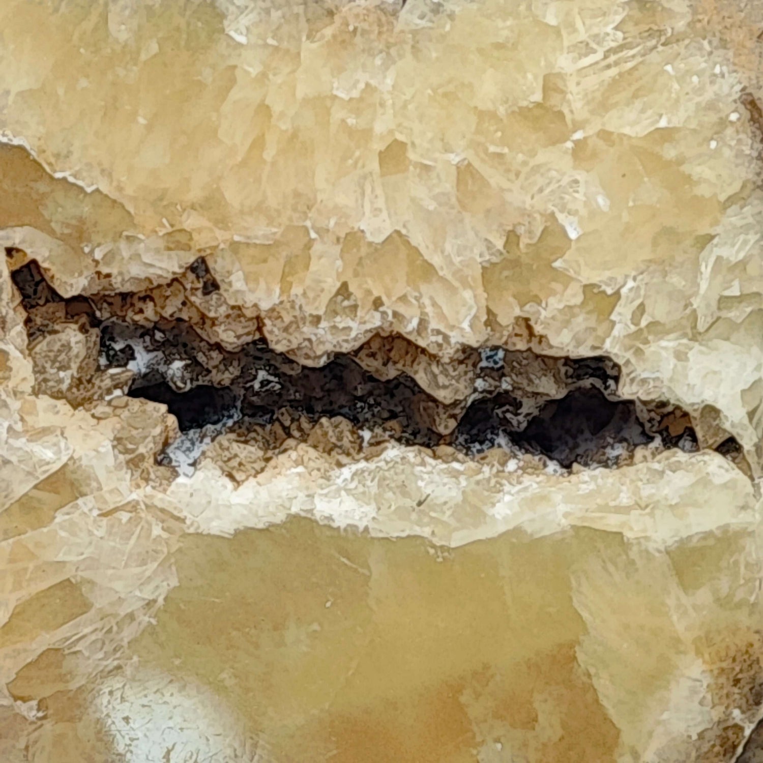 Septaria - Savon - Oracles &amp; Lunes